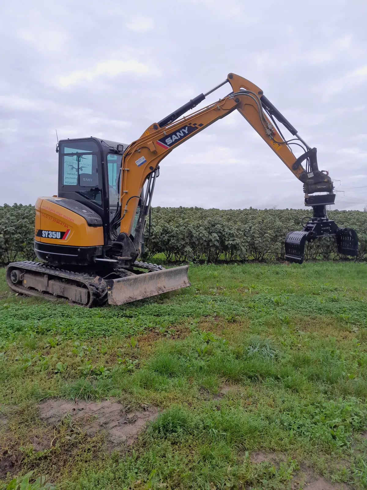Bagger mit Sortiergreifer auf einer Wiese