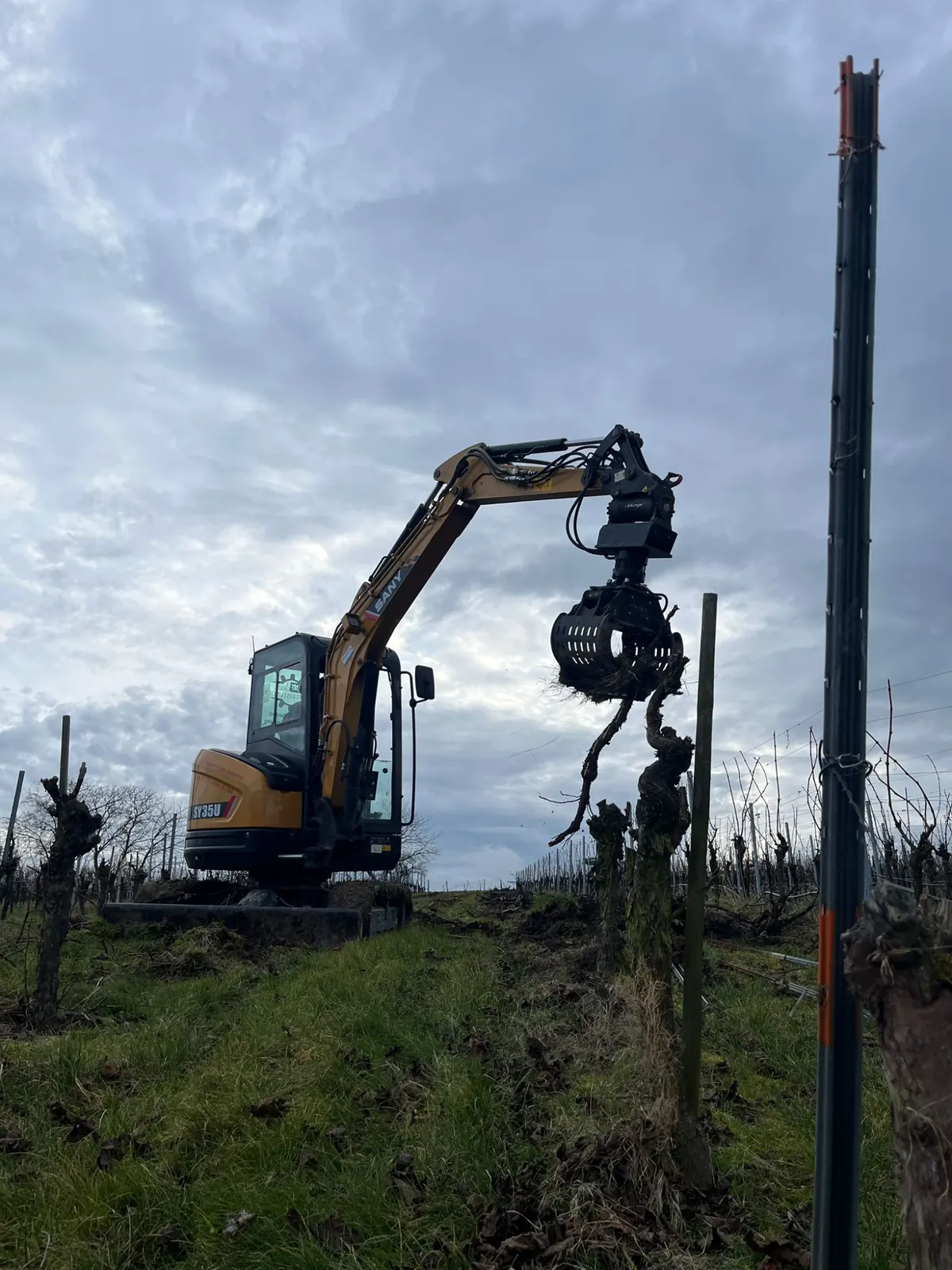 Bagger mit Greifer zieht einen Pfahl in einem Weinberg
