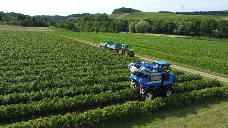 Erntemaschine von New Holland Braud in einer Anlage, von oben fotografiert