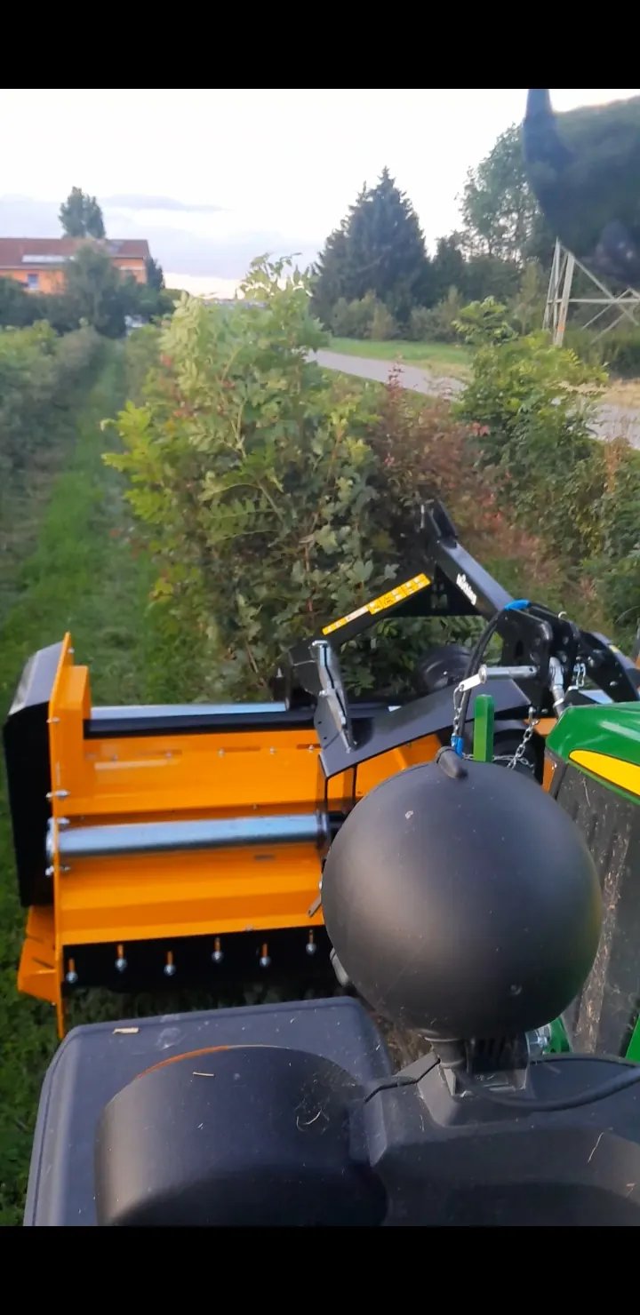 Mulcher am Schlepper zwischen zwei Pflanzreihen